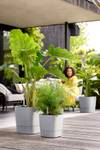 greensense aqua care quadrat 30cm light beton